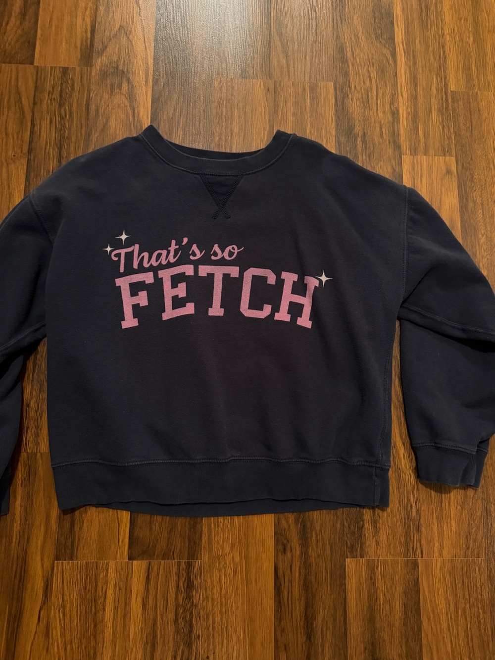 American Eagle Outfitters Navy Crewneck with Pink 'FETCH' Graphic